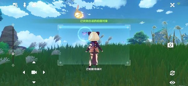 《原神》稻妻特色动物位置汇总