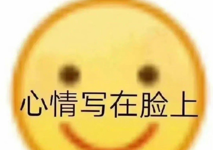 主打的就是一个陪伴是什么梗