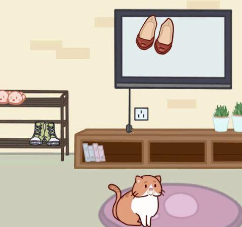 藏猫猫大作战第16关怎么过